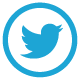 Social Media Management Twitter Branding Logo Icon in Holinex page