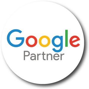 Google-Partner-logo-on-Holinex